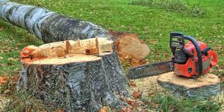 Best Hazardous Tree Removal  in De Witt, NY