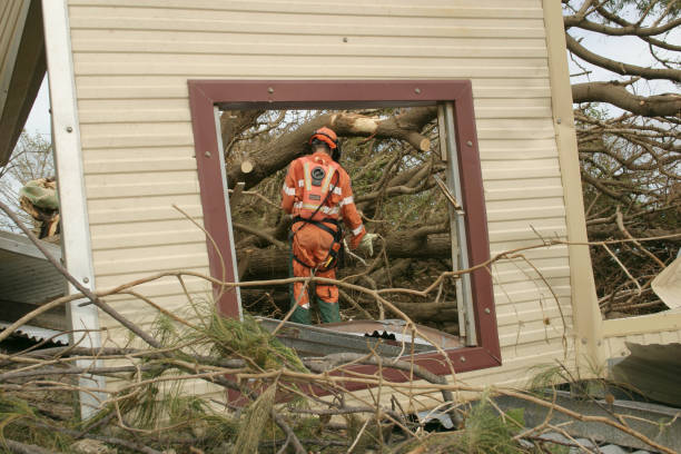 Best Utility Line Clearance  in De Witt, NY
